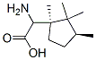 Cyclopentaneacetic acid, -alpha--amino-1,2,2,3-tetramethyl-, (1R,3S)- (9CI) Struktur