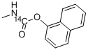 CARBARYL-NAPHTHALENE-1-14C Struktur