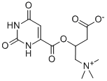 3-Carboxy-2-hydroxy-N,N,N-trimethyl-1-propanaminium 1,2,3,6-tetrahydro-2,6-dioxo-4-pyrimidinecarboxylic acid salt Struktur