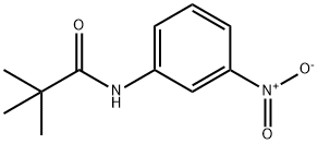 2,2-dimethyl-N-(3-nitrophenyl)propanamide Struktur