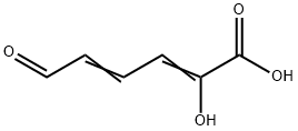 hydroxymuconic semialdehyde Struktur