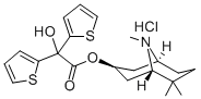 PG 501 Struktur