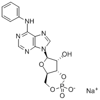 6-PHE-CAMP SODIUM SALT Struktur