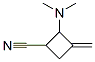 Cyclobutanecarbonitrile, 2-(dimethylamino)-3-methylene- (9CI) Struktur