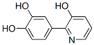 1,2-Benzenediol, 4-(3-hydroxy-2-pyridinyl)- (9CI) Struktur