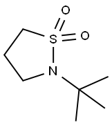 N-t-Butyl 1,1-dioxo-isothiazolidine Struktur