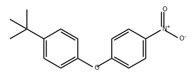 4-NITRO-4'-T-BUTYL DIPHENYL ETHER Struktur