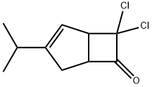 7,7-Dichloro-3-isopropylbicyclo[3.2.0]hept-2-en-6-one Struktur