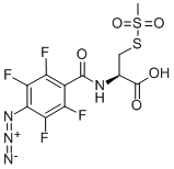 4-Azido-2,3,5,6-tetrafluorobenzamidocysteine Methanethiosulfonate Struktur