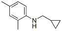 Benzenamine, N-(cyclopropylmethyl)-2,4-dimethyl- (9CI) Struktur