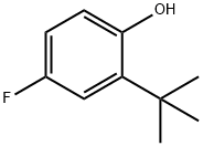 2-tert-butyl-4-fluorophenol Struktur