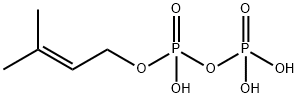 GAMMA GAMMA-DIMETHYLALLYL PYROPHOSPHATE&