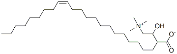 erucylcarnitine Struktur