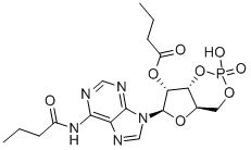 Bucladesine Struktur