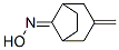 Bicyclo[3.2.1]octan-8-one, 3-methylene-, oxime (9CI) Struktur