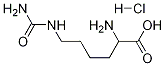 DL-Lysine, N6-(aMinocarbonyl)-, Monohydrochloride Struktur