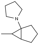 Pyrrolidine, 1-(6-methylbicyclo[3.1.0]hex-1-yl)- (9CI) Struktur