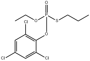 RH 218 Struktur