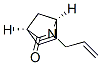 2-Azabicyclo[2.2.1]hept-5-en-3-one,2-(2-propenyl)-,(1S,4R)-(9CI) Struktur