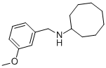 N-CYCLO-OCTHYL-M-METHOXYBENZYLAMINE Struktur