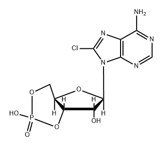 8-CHLORO-CAMP Struktur