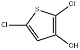 Thiophene-3-ol,  2,5-dichloro- Struktur