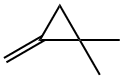 1,1-Dimethyl-2-methylenecyclopropane Struktur