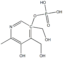 Pyridoxol 5′-Phosphate|5-磷酸吡哆醇