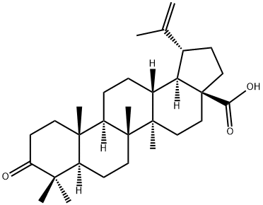 Betulonicacid