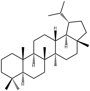 LUPANE Struktur