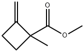 Cyclobutanecarboxylic acid, 1-methyl-2-methylene-, methyl ester (9CI) Struktur