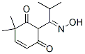 4-Cyclohexene-1,3-dione, 2-[1-(hydroxyimino)-2-methylpropyl]-6,6-dimethyl- (9CI) Struktur