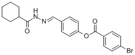 SALOR-INT L240206-1EA Struktur