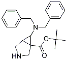 exo-1-Boc-6-[bis(phenylMethyl)aMino]-3-aza-bicyclo[3.1.0]hexane Struktur