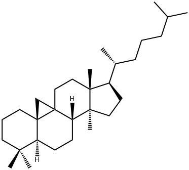 CYCLOARTANE Struktur