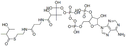 [5-(6-aminopurin-9-yl)-4-hydroxy-2-[[hydroxy-[hydroxy-[3-hydroxy-3-[2-[2-(3-hydroxy-2-methyl-butanoyl)sulfanylethylcarbamoyl]ethylcarbamoyl]-2,2-dimethyl-propoxy]-phosphoryl]oxy-phosphoryl]oxymethyl]oxolan-3-yl]oxyphosphonic acid Struktur