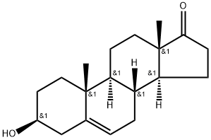 Dehydroepiandrosterone