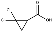 2,2-DICHLORO-CYCLOPROPANECARBOXYLIC ACID