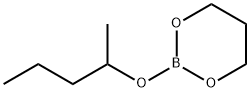 2-(1-Methylbutoxy)-1,3,2-dioxaborinane Struktur