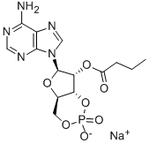 2'-O-MB-CAMP SODIUM SALT Struktur