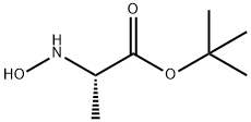 L-Alanine, N-hydroxy-, 1,1-dimethylethyl ester (9CI) Struktur