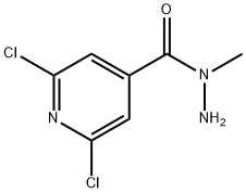 N-Methyl-2,6-dichloroisonicotinic hydrazide Struktur