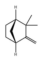 (-)-CAMPHENE Struktur