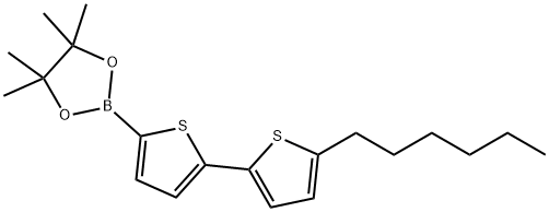 5'-HEXYL-2,2'-BITHIOPHENE-5-BORONIC ACID PINACOL ESTER Struktur