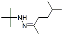 5-methylhexan-2-one tert-butylhydrazone Struktur