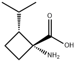 Cyclobutanecarboxylic acid, 1-amino-2-(1-methylethyl)-, (1R,2R)- (9CI) Struktur