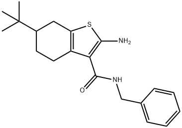 2-AMINO-N-BENZYL-6-TERT-BUTYL-4,5,6,7-TETRAHYDRO-1-BENZOTHIOPHENE-3-CARBOXAMIDE Struktur