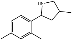 Pyrrolidine, 2-(2,4-dimethylphenyl)-4-methyl- (9CI) Struktur