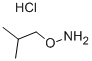 O-ISOBUTYLHYDROXYLAMINE HYDROCHLORIDE Struktur