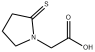 1-Pyrrolidineacetic  acid,  2-thioxo- Struktur